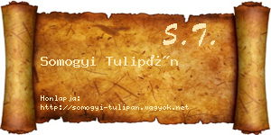Somogyi Tulipán névjegykártya